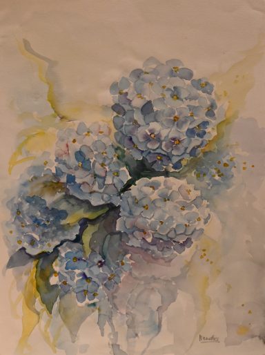 Hydrangeas in Blue, Aquarelle on paper, 29 x 38 cm